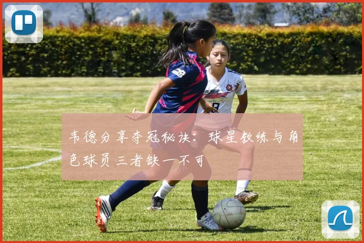韦德分享夺冠秘诀：球星教练与角色球员三者缺一不可