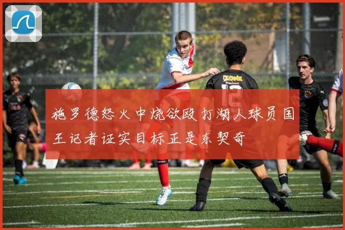 施罗德怒火中烧欲殴打湖人球员国王记者证实目标正是东契奇